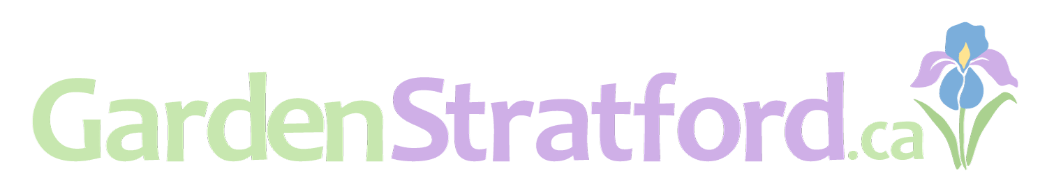 Instant form site logo